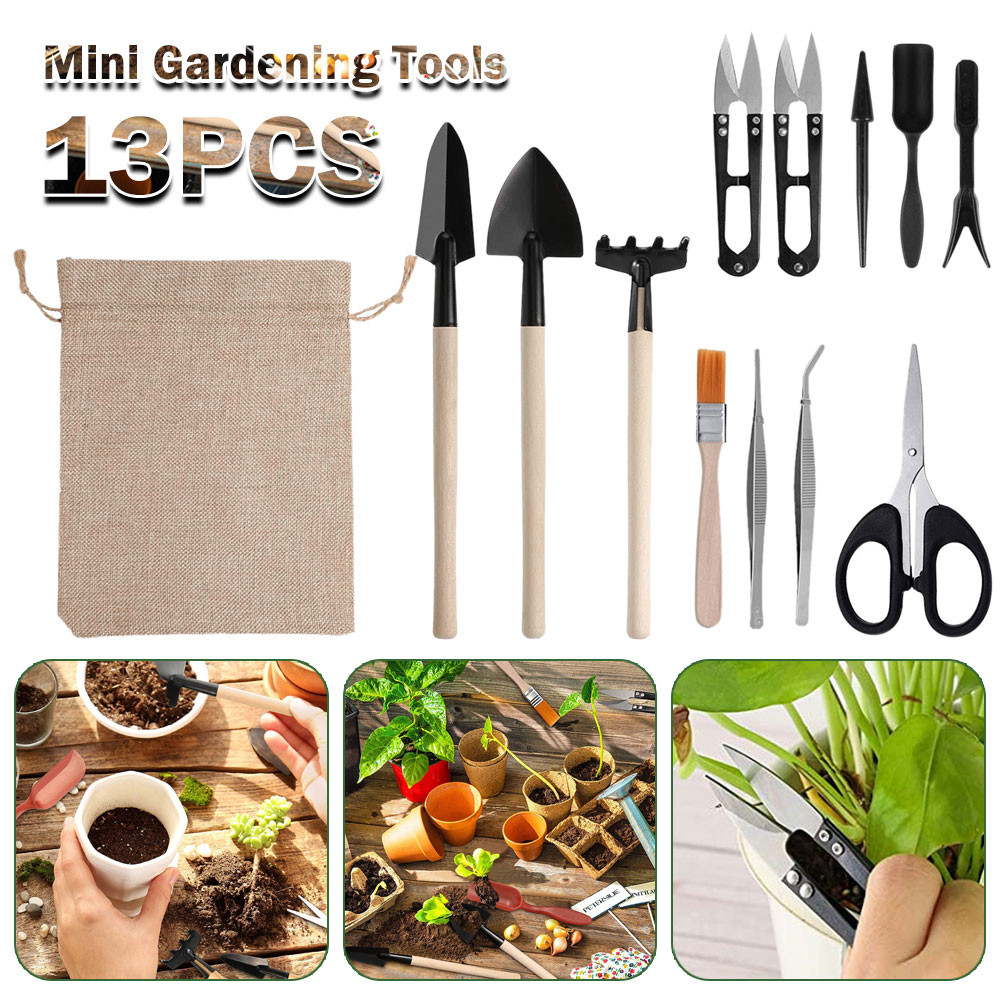 Bonsai Garden Mini - Succulent Plants Tools Mini Garden Hand