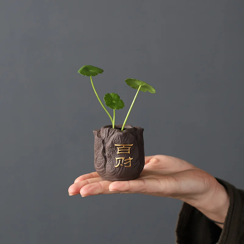 Creative Purple Clay Tea Pet F - Bonsai Garden Mini 评论和价格