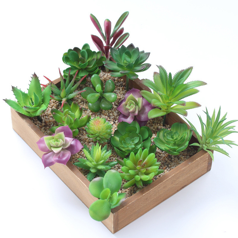 2021 Artificial Succulents Pla - Bonsai Garden Mini 评论和价格