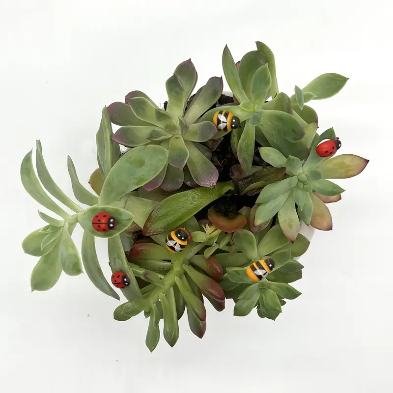 50/100 Pcs Mini Self-Adhesive  - Bonsai Garden For Home 评论和价格