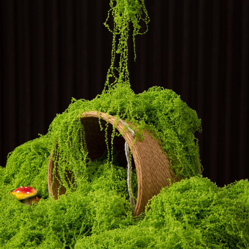 200g Eternal Life Moss DIY Cra - Bonsai Garden For Home 评论和价格