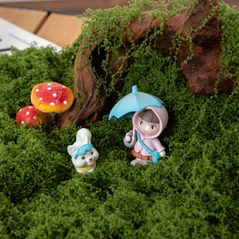 200g Eternal Life Moss DIY Cra - Bonsai Garden For Home 评论和价格