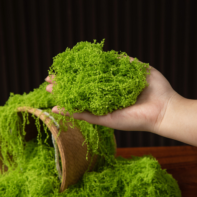 200g Eternal Life Moss DIY Cra - Bonsai Garden For Home 评论和价格