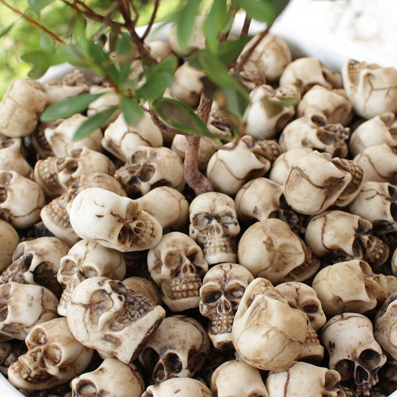 ● 20pcs Mini Skulls Halloween  - Bonsai Garden Mini 评论和价格