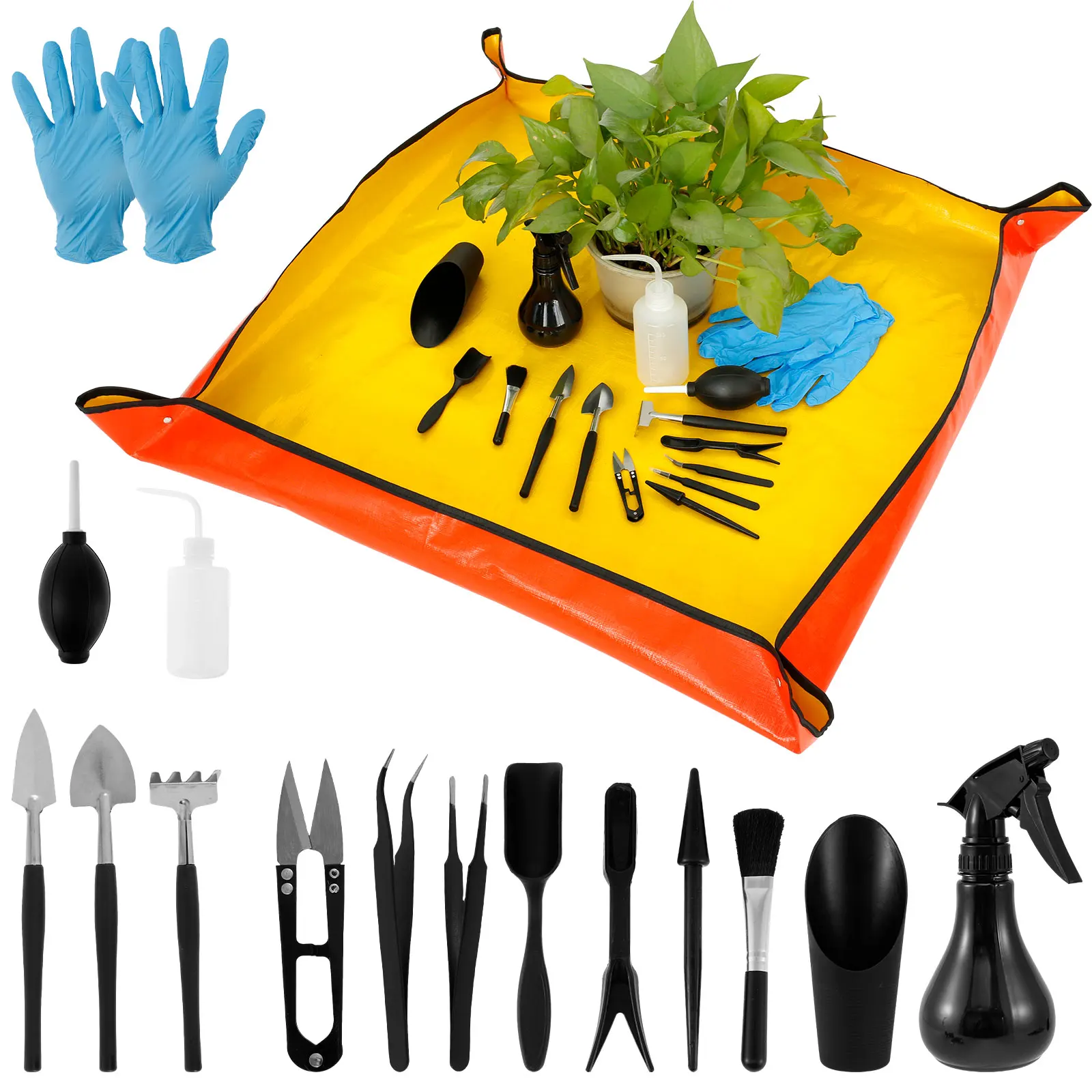 13/16Pcs Garden Succulent Plan - Bonsai Garden Mini 评论和价格