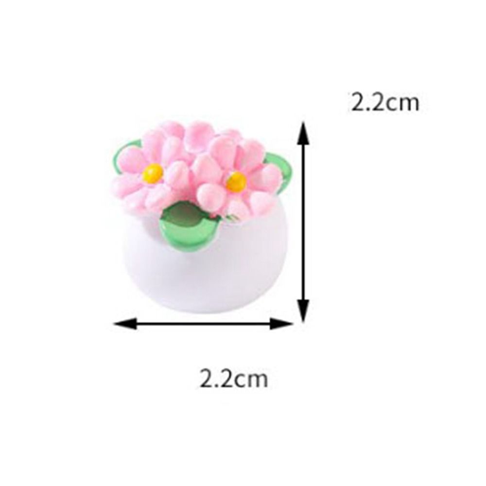 1:12 Dollhouse Miniature Potte - Bonsai Garden For Home 评论和价格