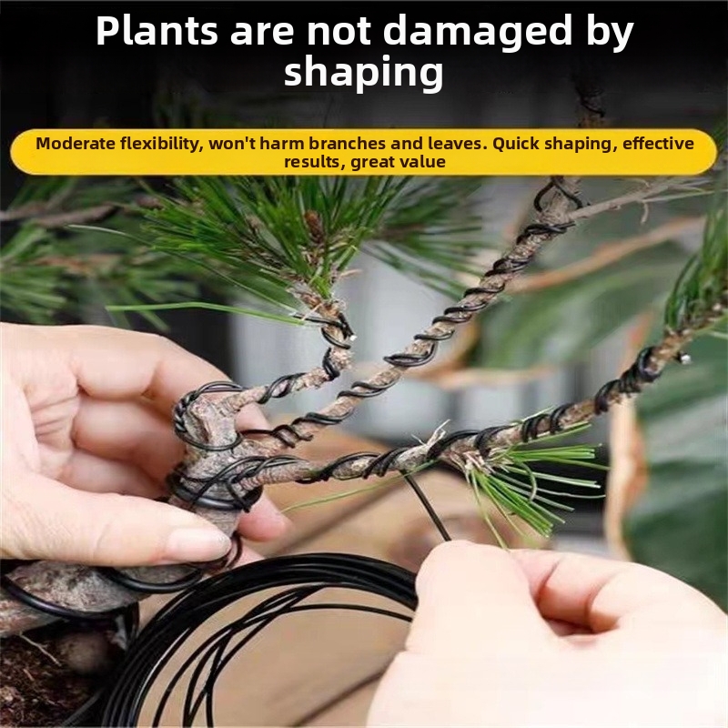 1.5MM Bonsai Wires Aluminum Bo - Bonsai Garden For Home 评论和价格