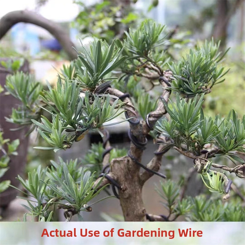1.5MM Bonsai Wires Aluminum Bo - Bonsai Garden For Home 评论和价格