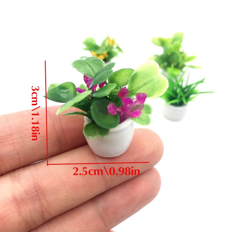 Dollhouse Plant, Miniature Bon - Bonsai Garden Mini 评论和价格