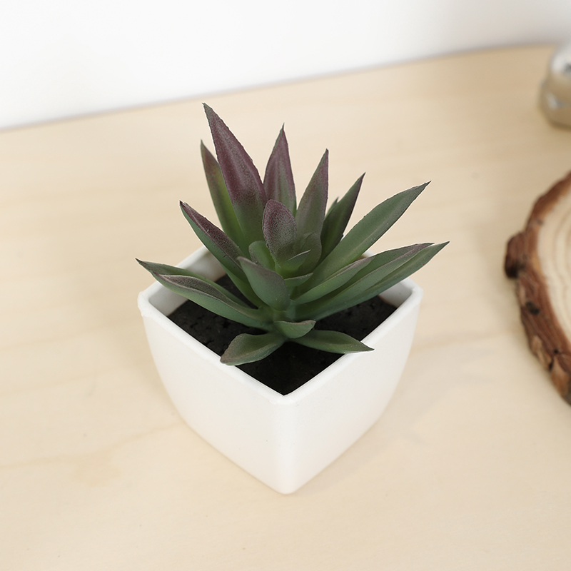 Mini Artificial Succulent Fair - Bonsai Garden Mini 评论和价格