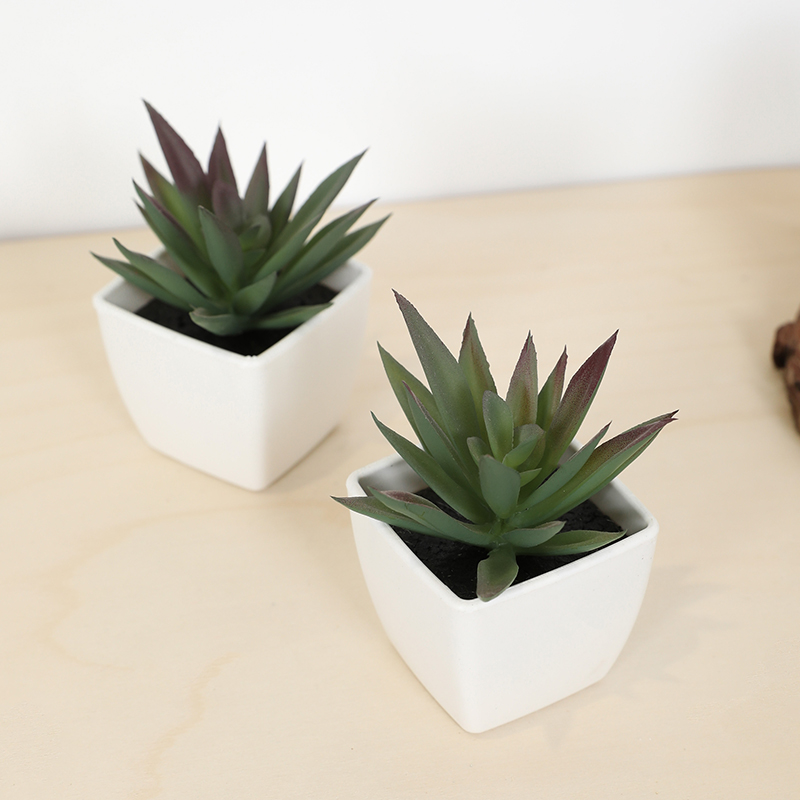 Mini Artificial Succulent Fair - Bonsai Garden Mini 评论和价格