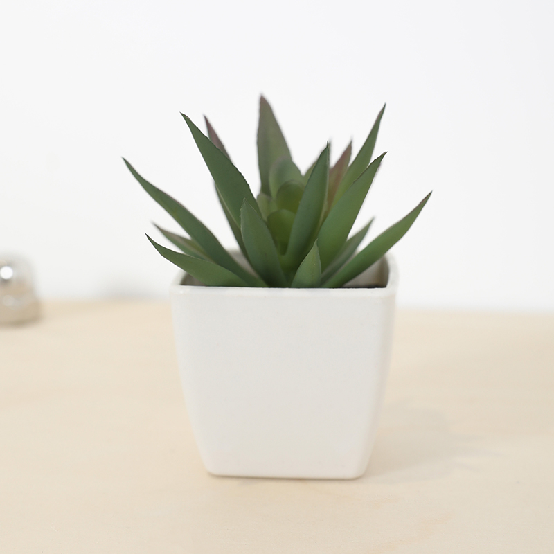Mini Artificial Succulent Fair - Bonsai Garden Mini 评论和价格