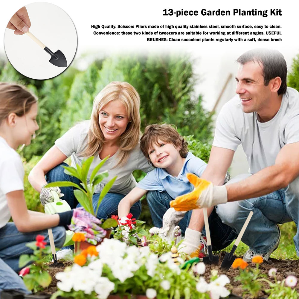 Succulent Plants Tools Mini Ga - Bonsai Garden Mini 评论和价格