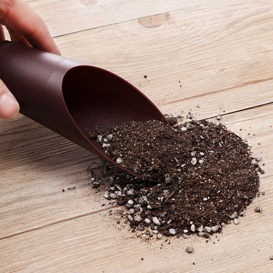 1PC Plastic Soil Shovel Cup Fo - Bonsai Garden For Home 评论和价格